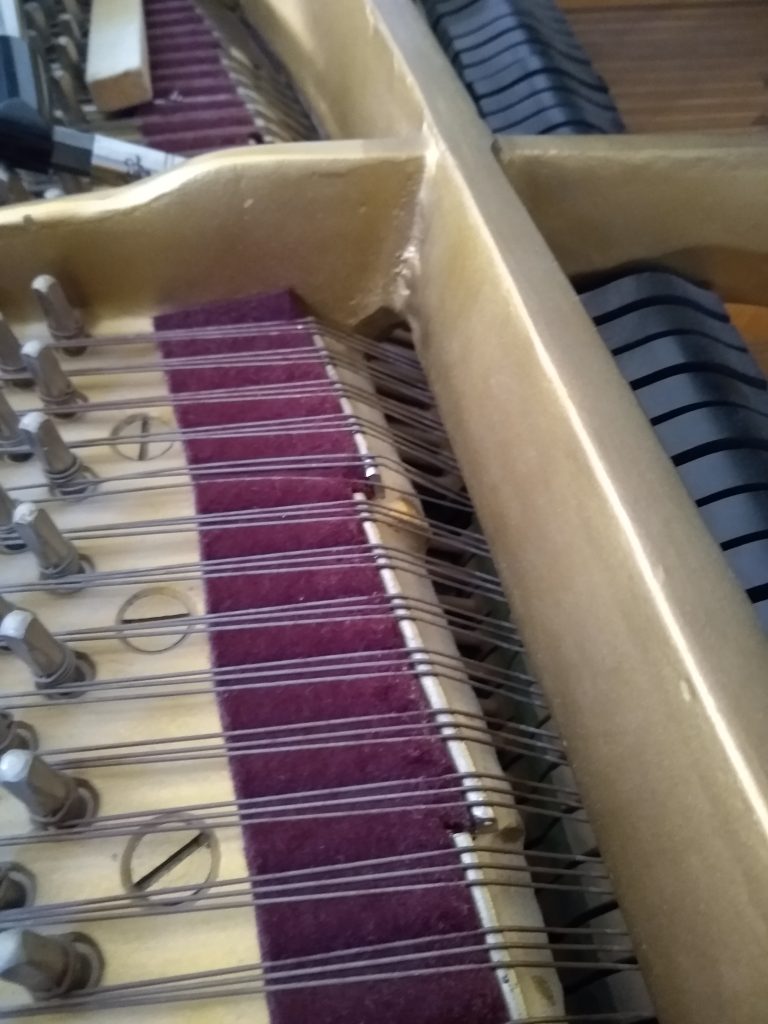 Close-up of grand piano strings and Capo D'Astro bar.